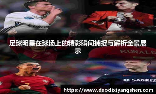 球速体育平台登录入口